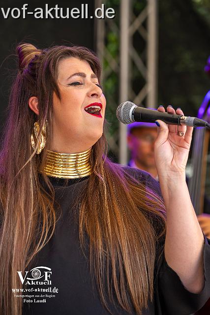 Fotto Laudi_donaujazz-19.jpg